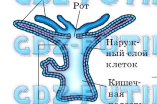 Кракен даркнет kraken014 com