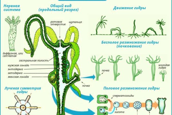 Кракен купить наркоту