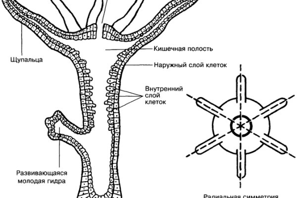 Кракен ссылка маркет